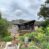 Odi. 3- Beds Thatched House For Rent