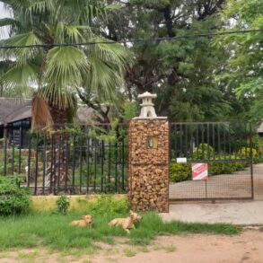 Odi. 3- Beds Thatched House For Rent