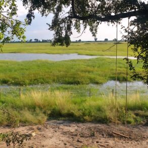 Campsite located 50km after Mohembo Bridge on the way to Seronga , Great Investment Property for sale.