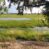 Campsite located 50km after Mohembo Bridge on the way to Seronga , Great Investment Property for sale.