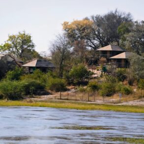 Campsite located 50km after Mohembo Bridge on the way to Seronga , Great Investment Property for sale.