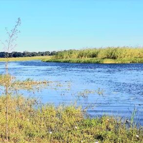 Campsite located 50km after Mohembo Bridge on the way to Seronga , Great Investment Property for sale.