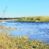 Campsite located 50km after Mohembo Bridge on the way to Seronga , Great Investment Property for sale.
